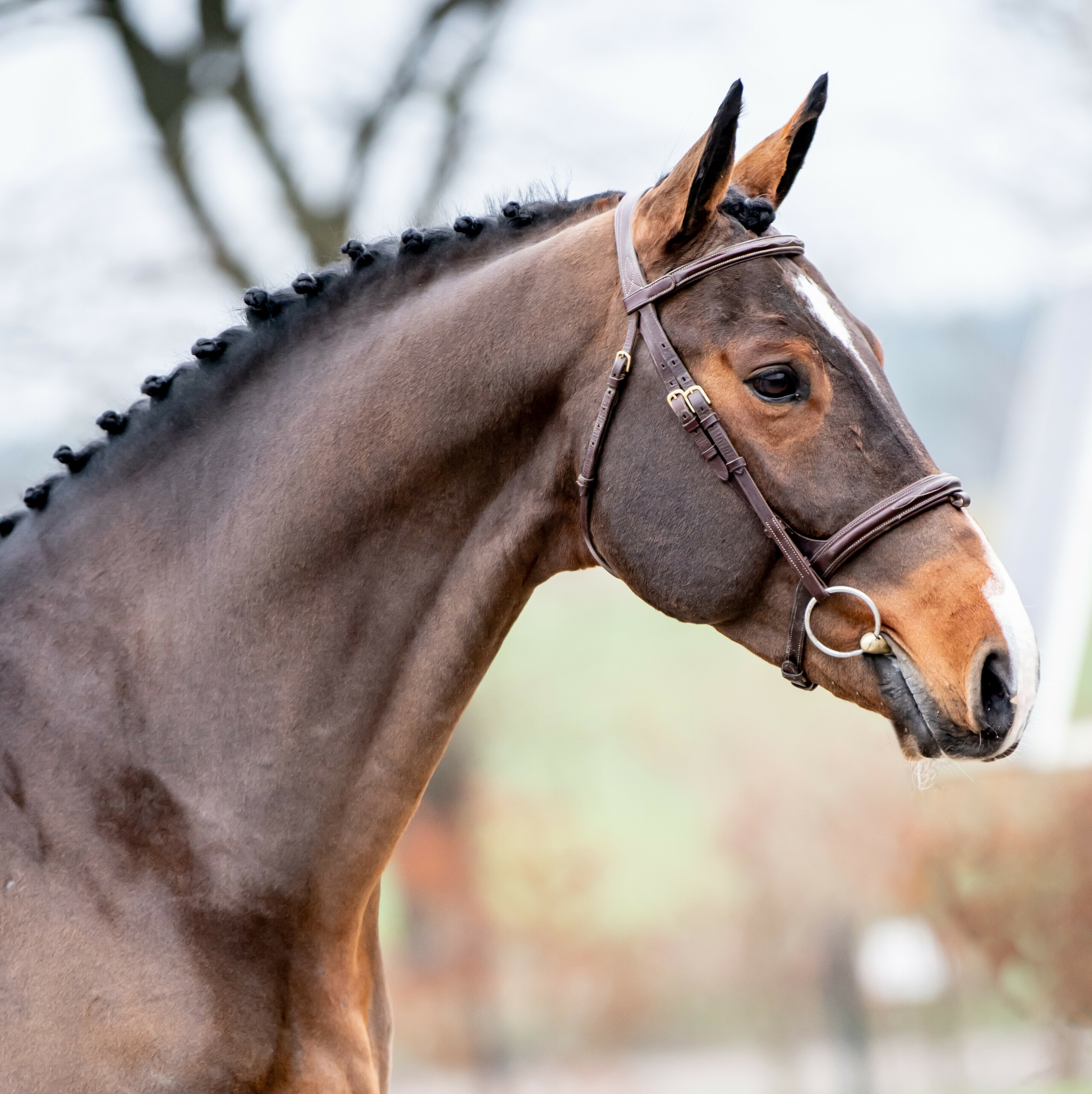 {node.properties.title