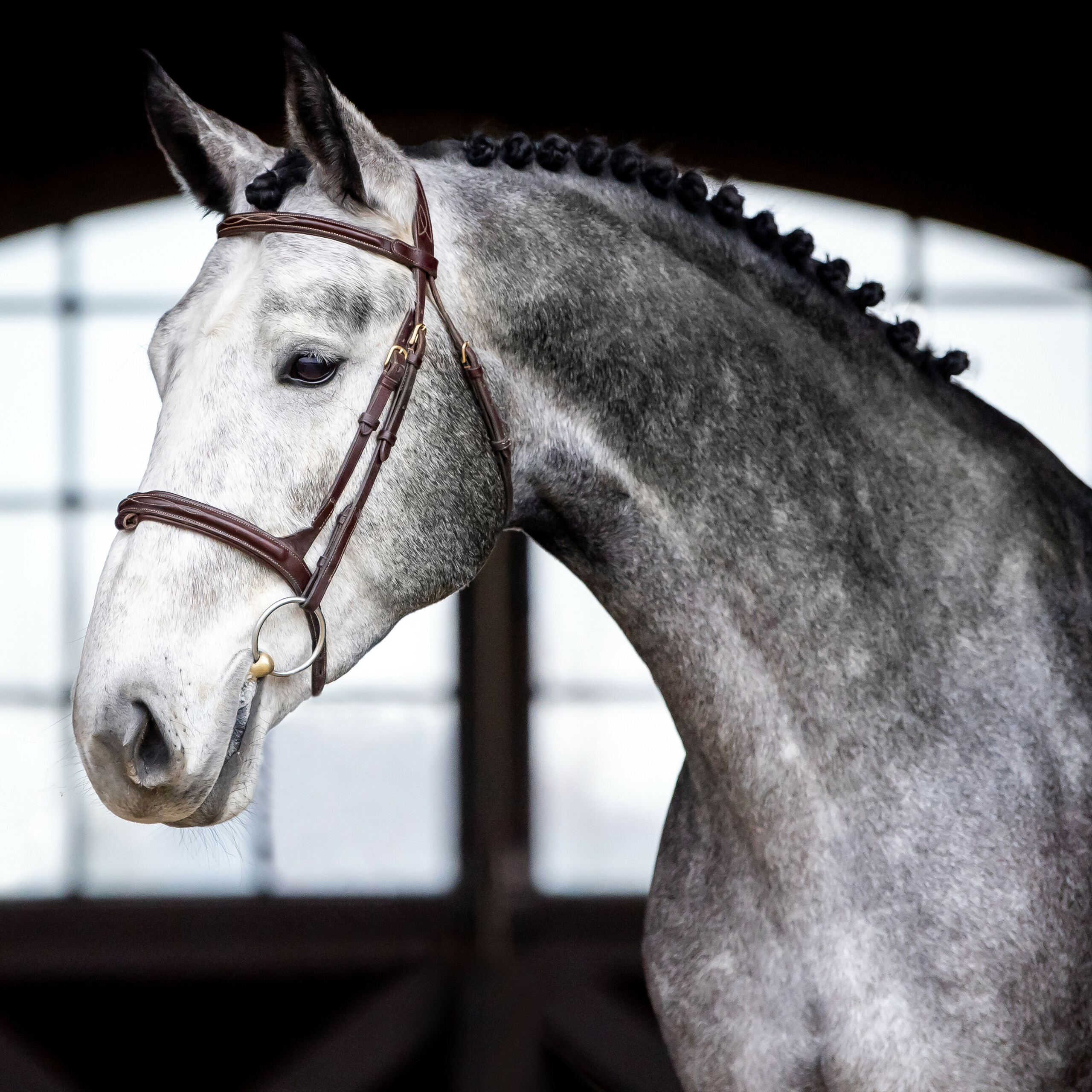 {node.properties.title